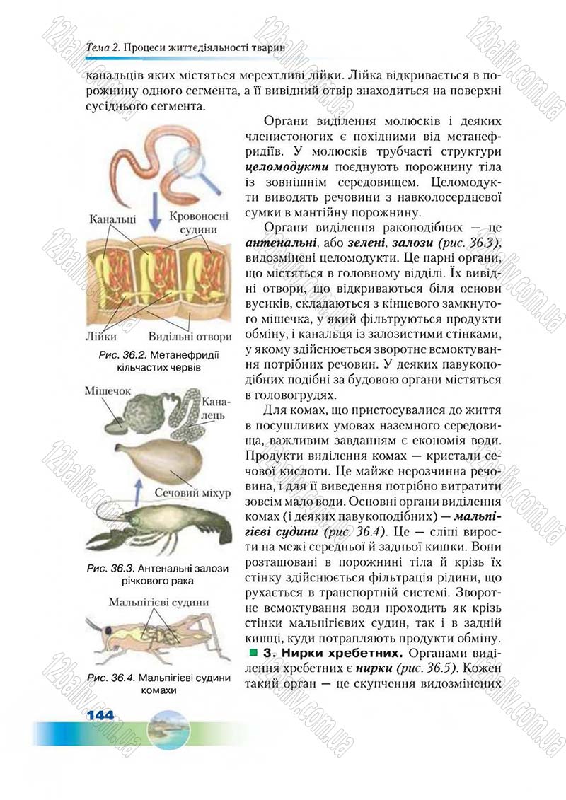 Сторінка 144 - Підручник Біологія 7 клас Д. А. Шабанов,  М. О. Кравченко 2015