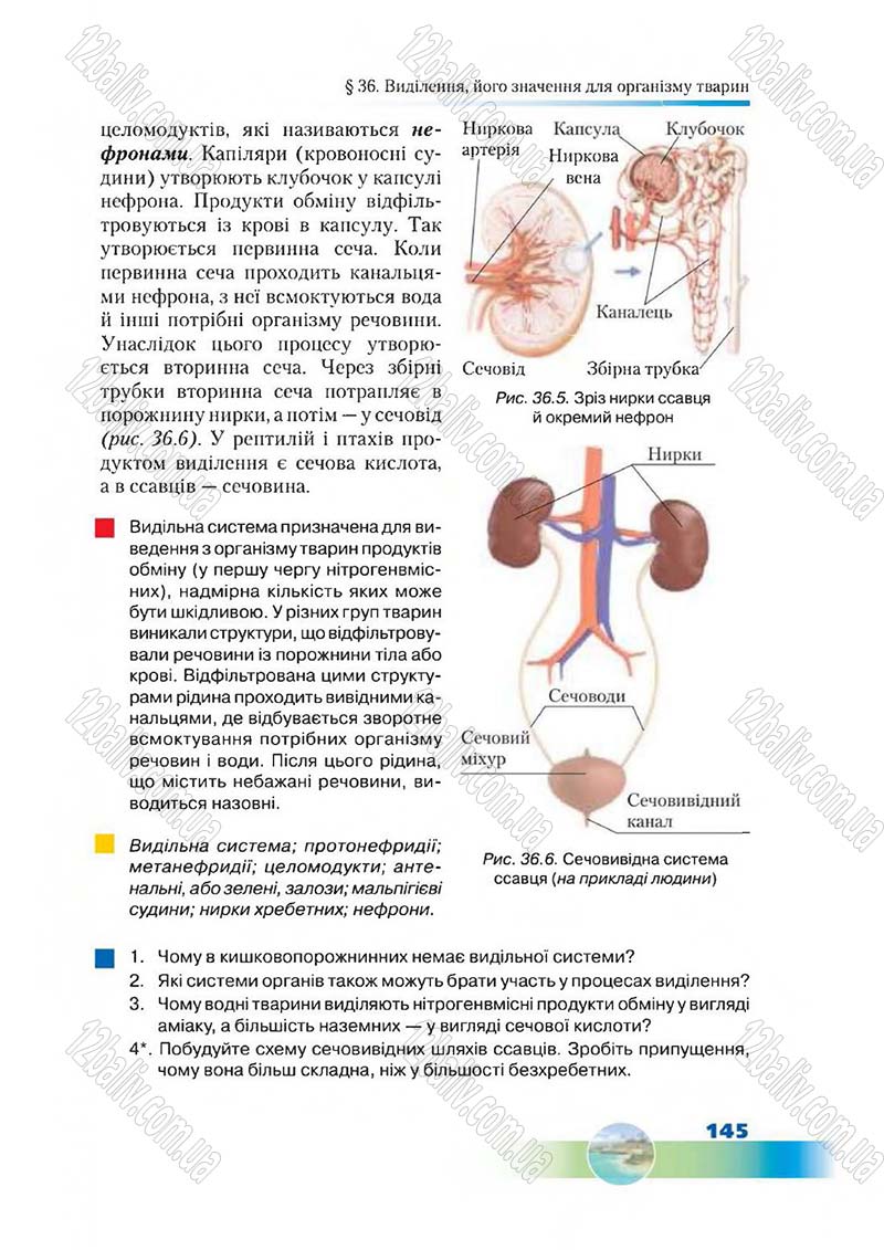 Сторінка 145 - Підручник Біологія 7 клас Д. А. Шабанов,  М. О. Кравченко 2015
