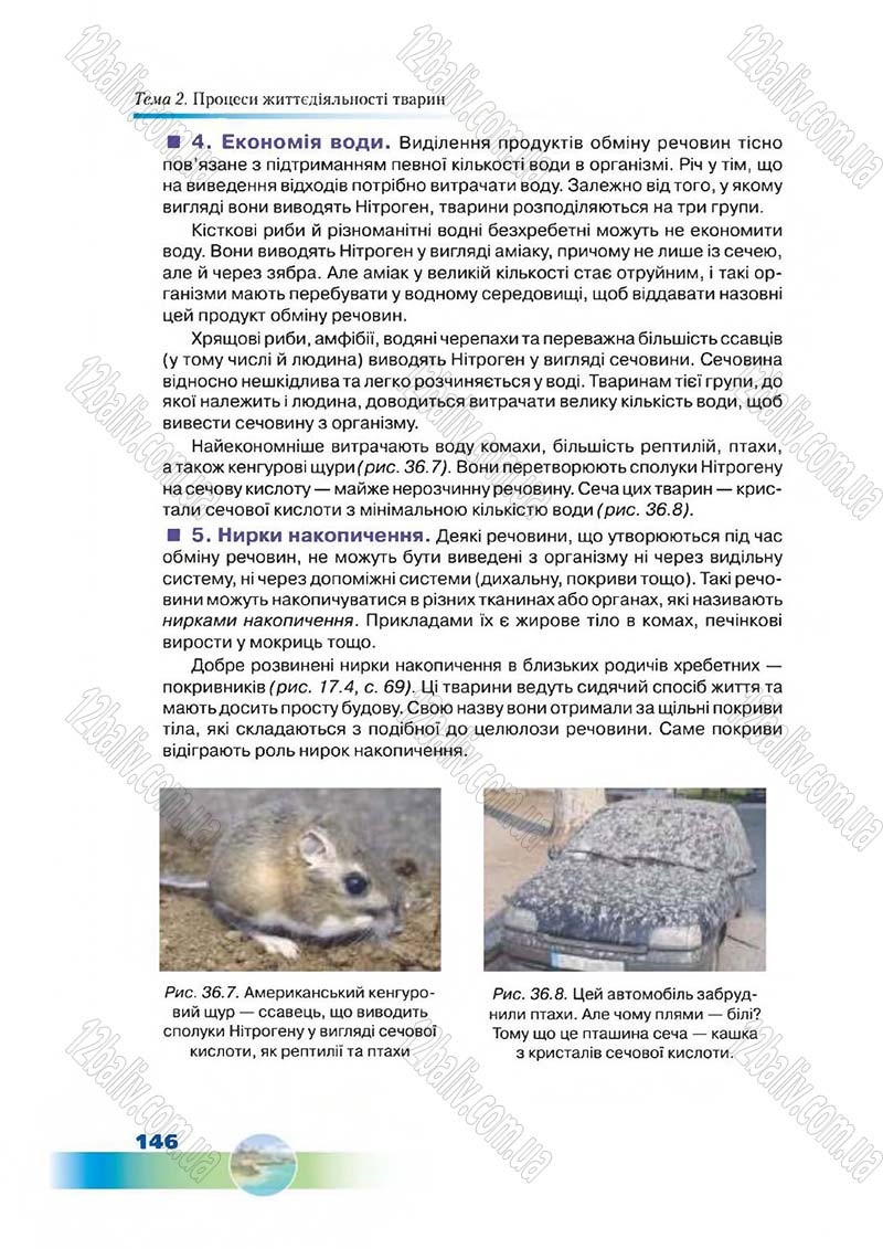 Сторінка 146 - Підручник Біологія 7 клас Д. А. Шабанов,  М. О. Кравченко 2015