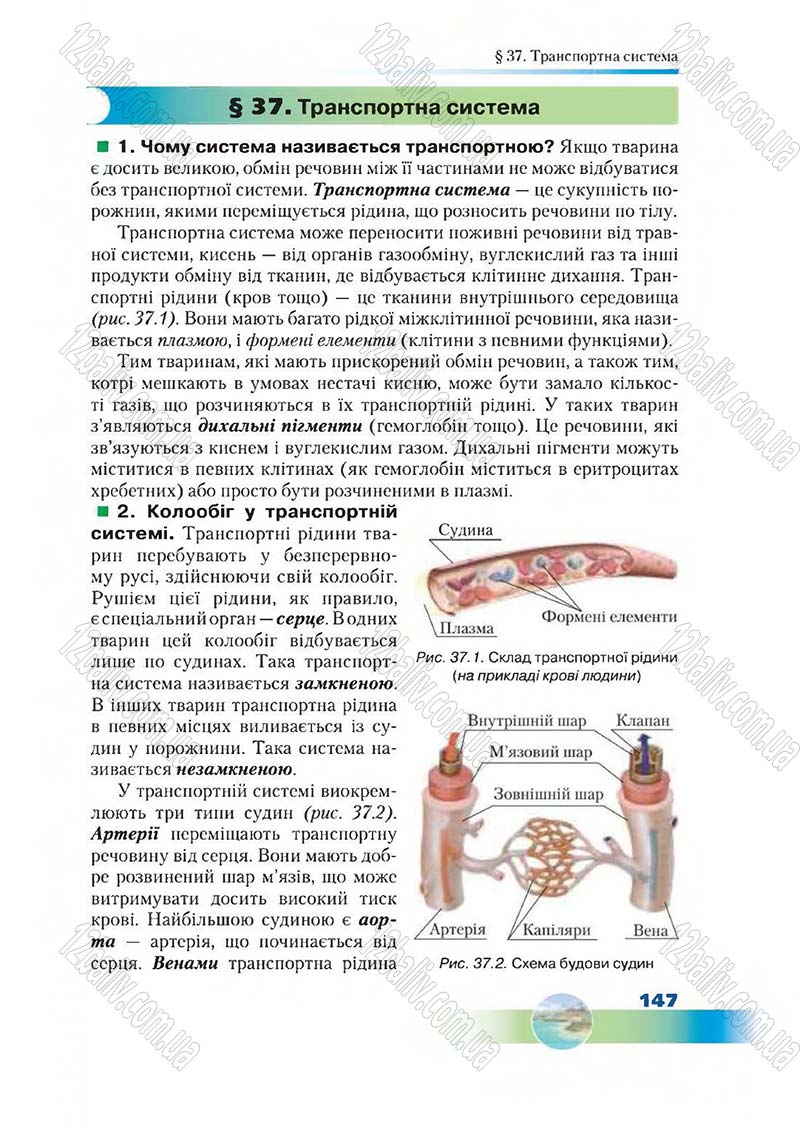 Сторінка 147 - Підручник Біологія 7 клас Д. А. Шабанов,  М. О. Кравченко 2015