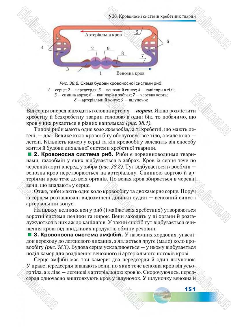 Сторінка 151 - Підручник Біологія 7 клас Д. А. Шабанов,  М. О. Кравченко 2015