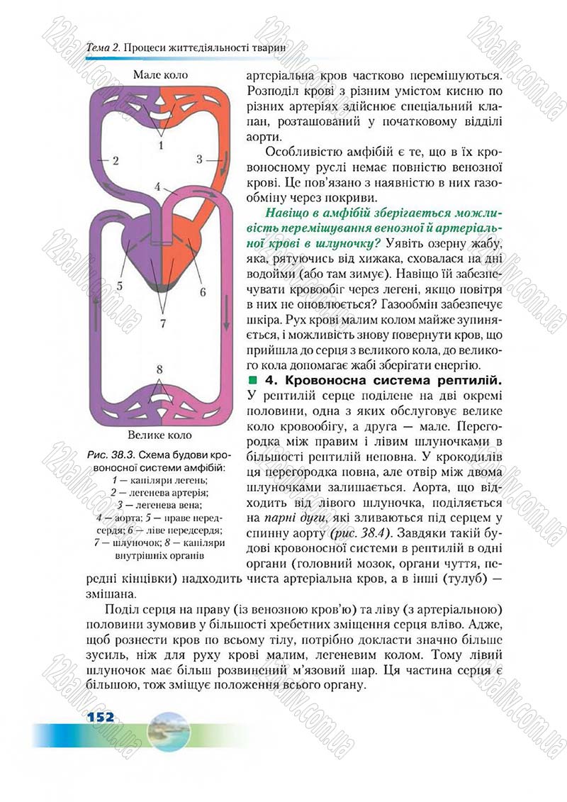 Сторінка 152 - Підручник Біологія 7 клас Д. А. Шабанов,  М. О. Кравченко 2015