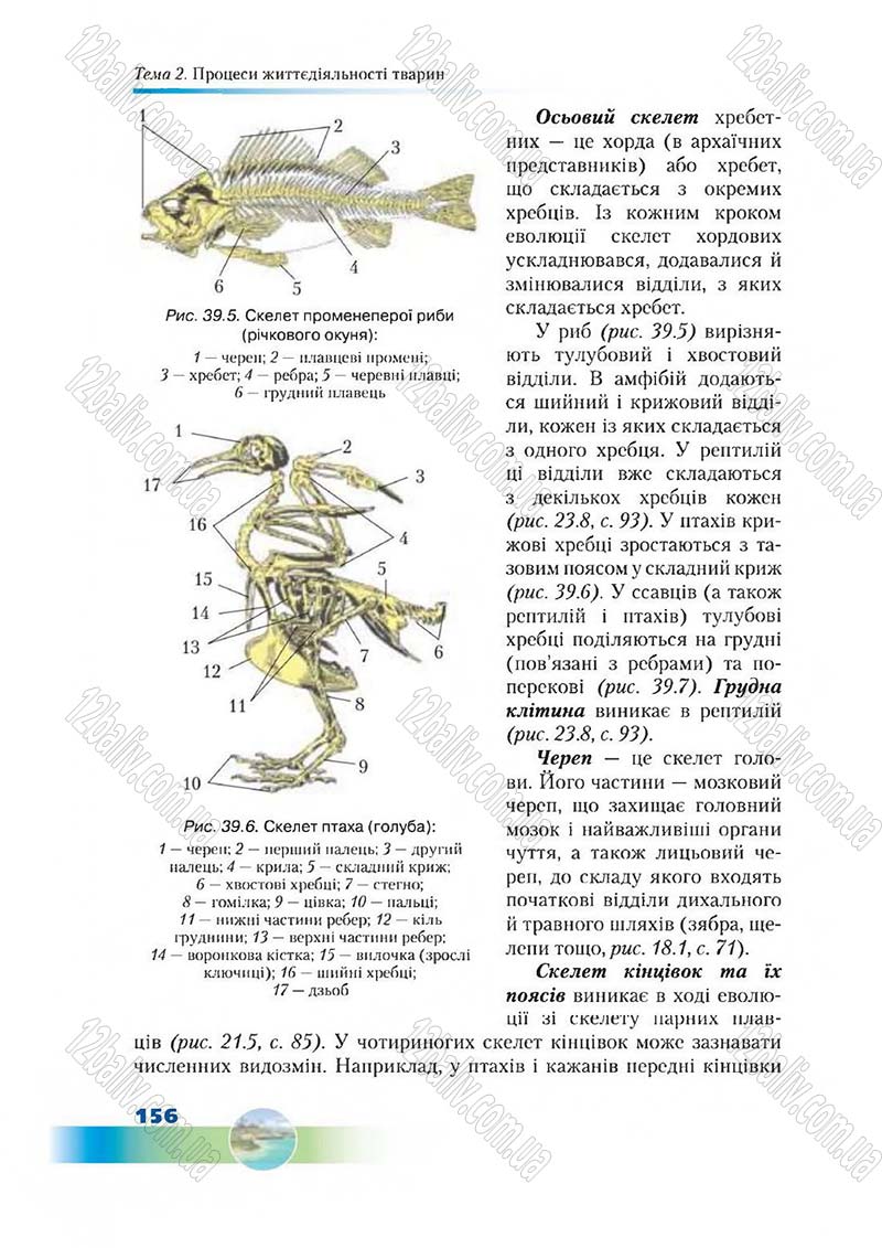Сторінка 156 - Підручник Біологія 7 клас Д. А. Шабанов,  М. О. Кравченко 2015