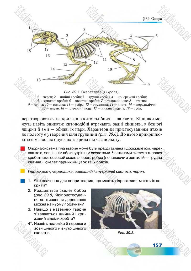 Сторінка 157 - Підручник Біологія 7 клас Д. А. Шабанов,  М. О. Кравченко 2015