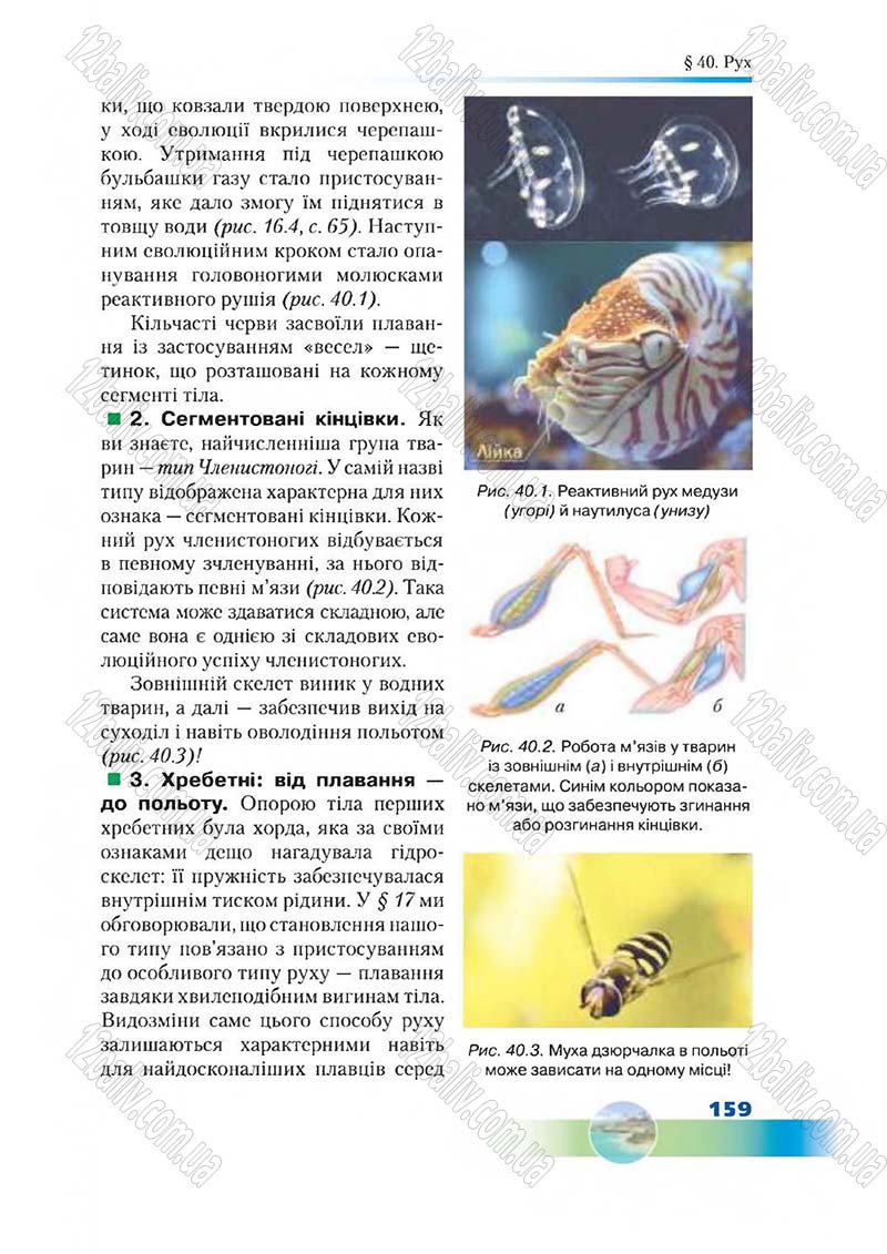 Сторінка 159 - Підручник Біологія 7 клас Д. А. Шабанов,  М. О. Кравченко 2015