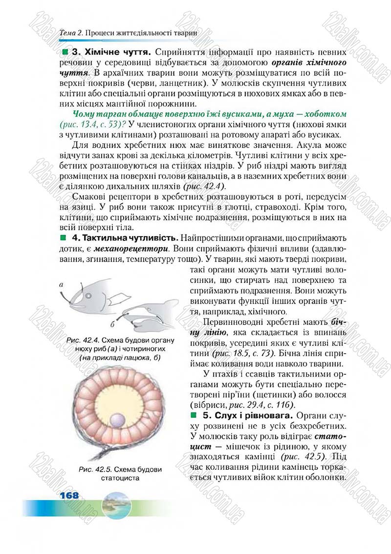 Сторінка 168 - Підручник Біологія 7 клас Д. А. Шабанов,  М. О. Кравченко 2015