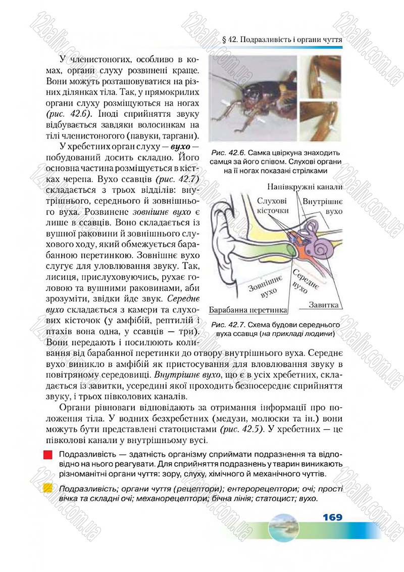 Сторінка 169 - Підручник Біологія 7 клас Д. А. Шабанов,  М. О. Кравченко 2015