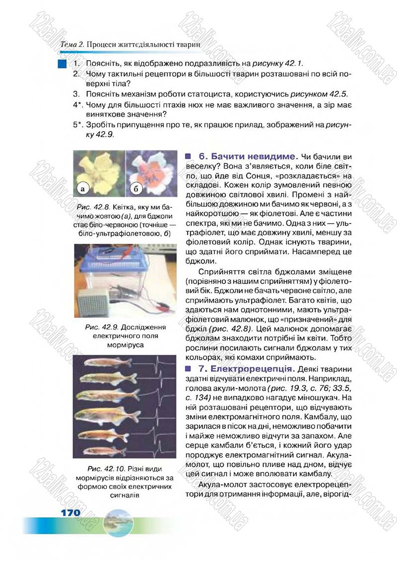 Сторінка 170 - Підручник Біологія 7 клас Д. А. Шабанов,  М. О. Кравченко 2015