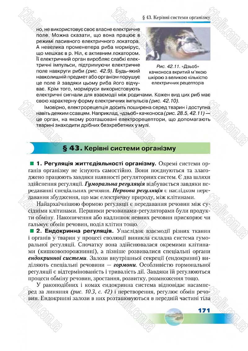 Сторінка 171 - Підручник Біологія 7 клас Д. А. Шабанов,  М. О. Кравченко 2015