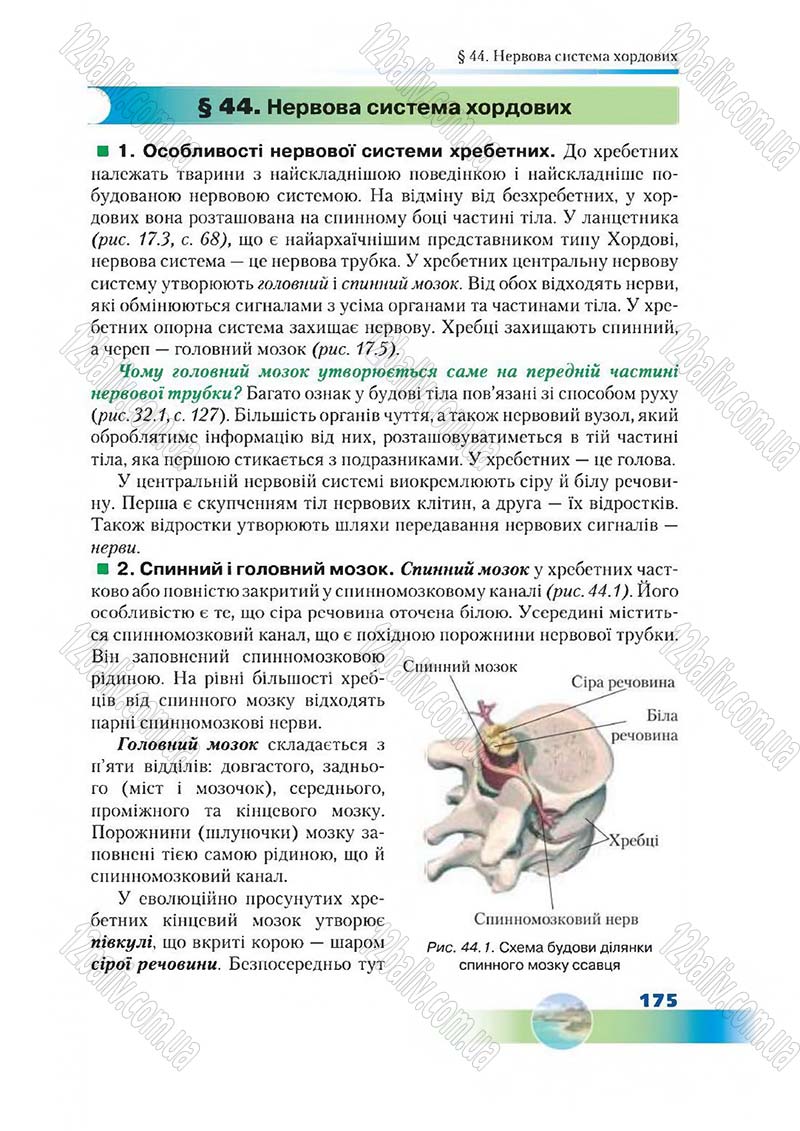 Сторінка 175 - Підручник Біологія 7 клас Д. А. Шабанов,  М. О. Кравченко 2015
