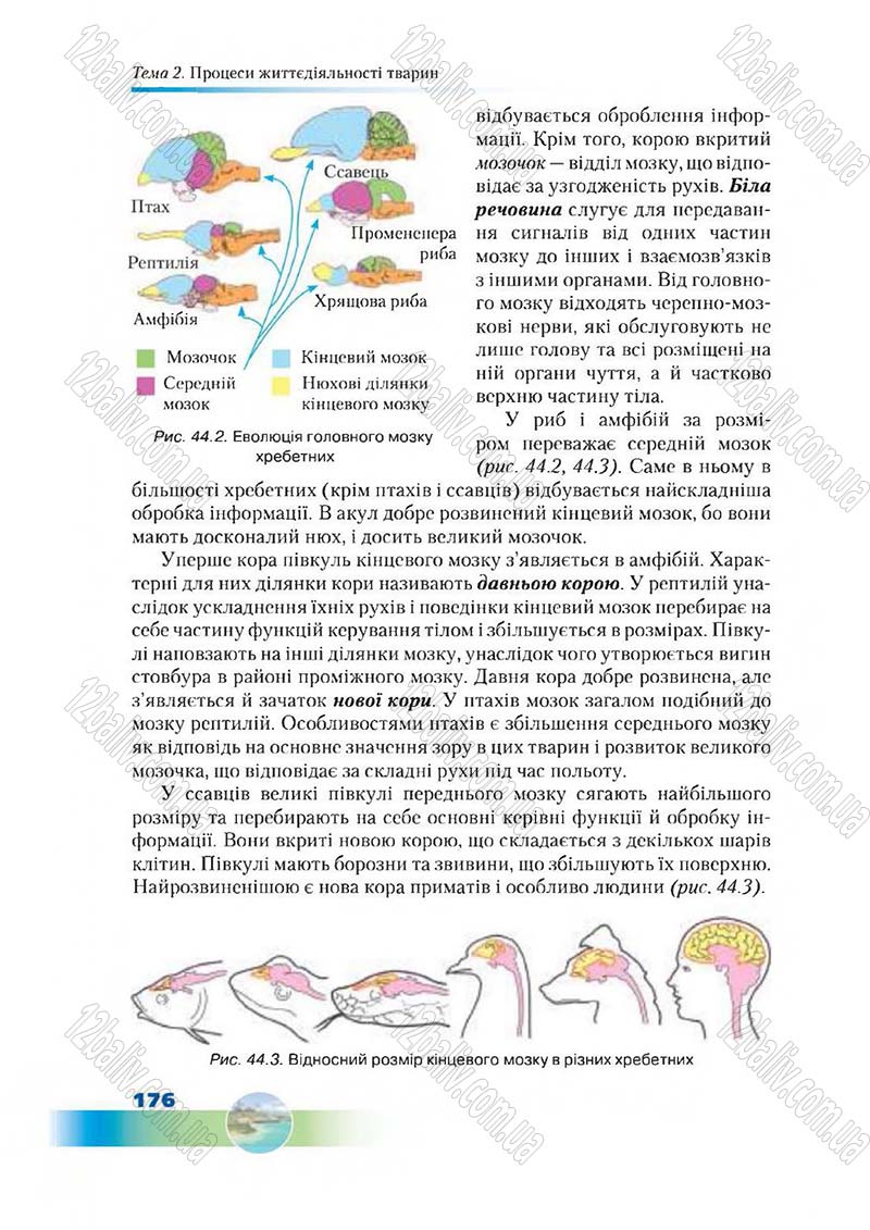 Сторінка 176 - Підручник Біологія 7 клас Д. А. Шабанов,  М. О. Кравченко 2015