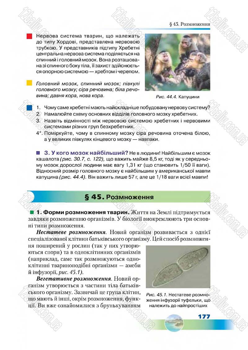 Сторінка 177 - Підручник Біологія 7 клас Д. А. Шабанов,  М. О. Кравченко 2015
