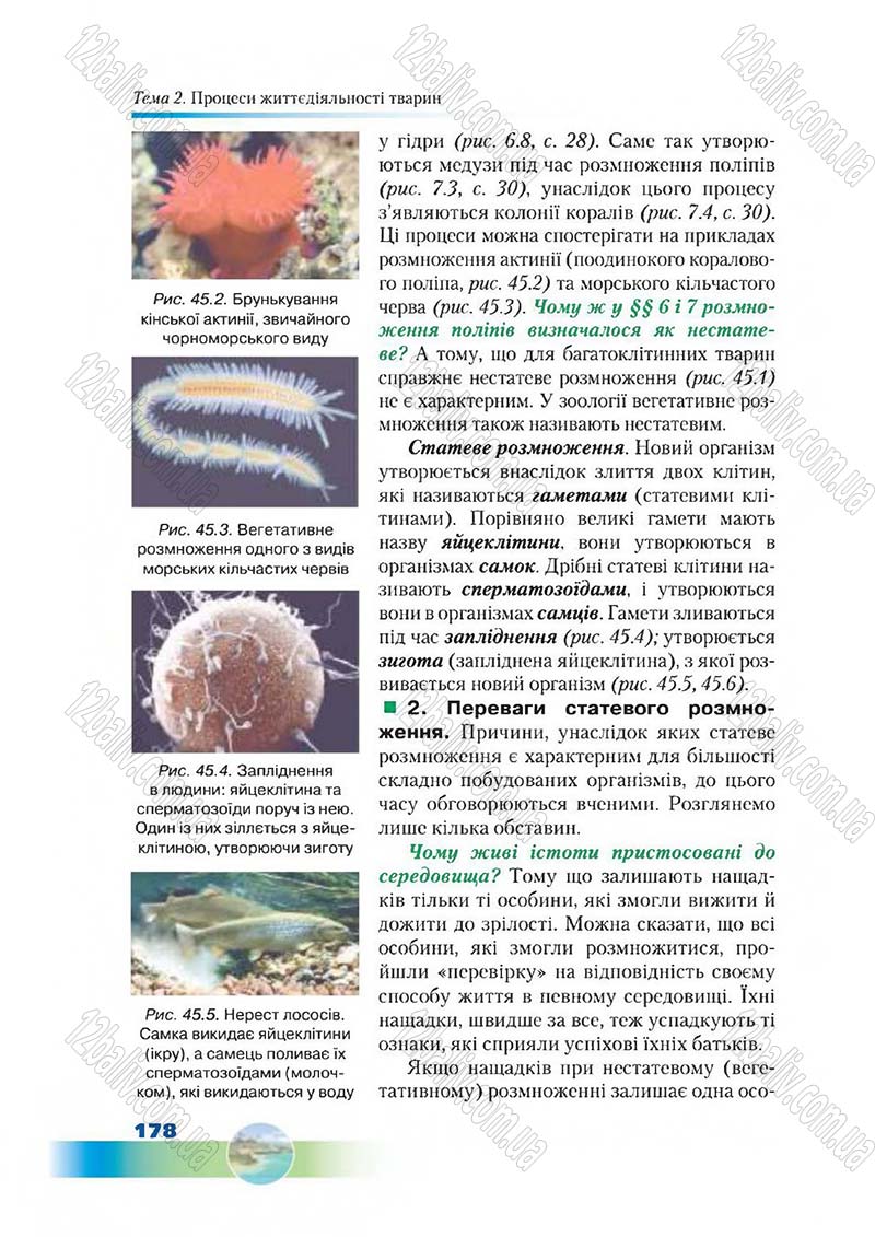 Сторінка 178 - Підручник Біологія 7 клас Д. А. Шабанов,  М. О. Кравченко 2015
