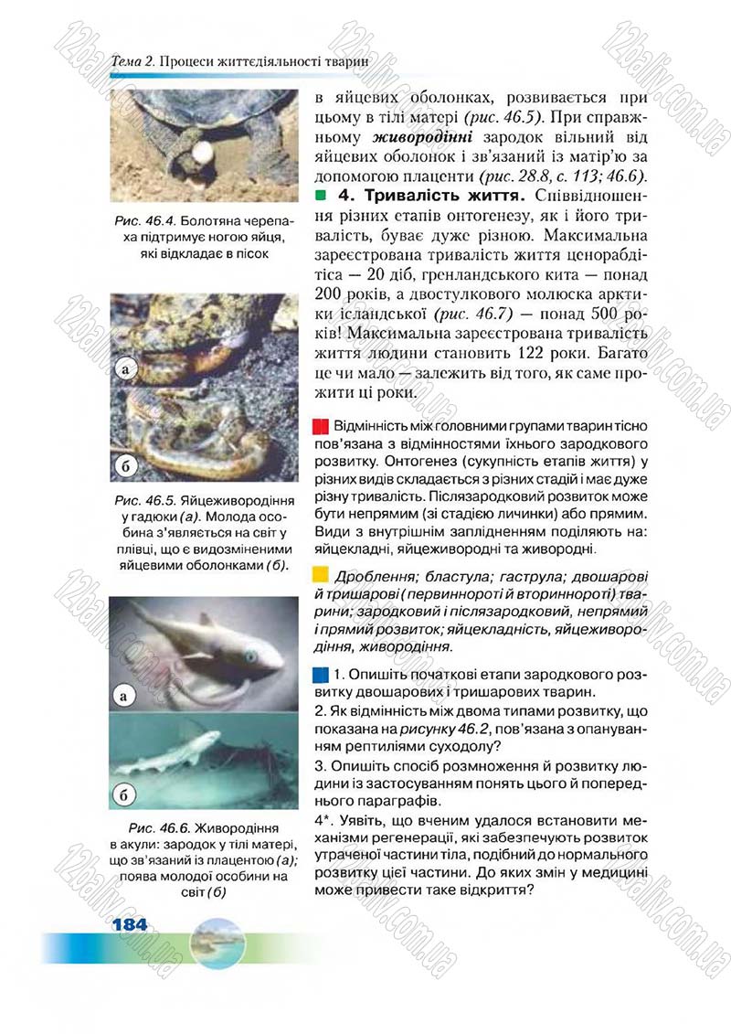Сторінка 184 - Підручник Біологія 7 клас Д. А. Шабанов,  М. О. Кравченко 2015