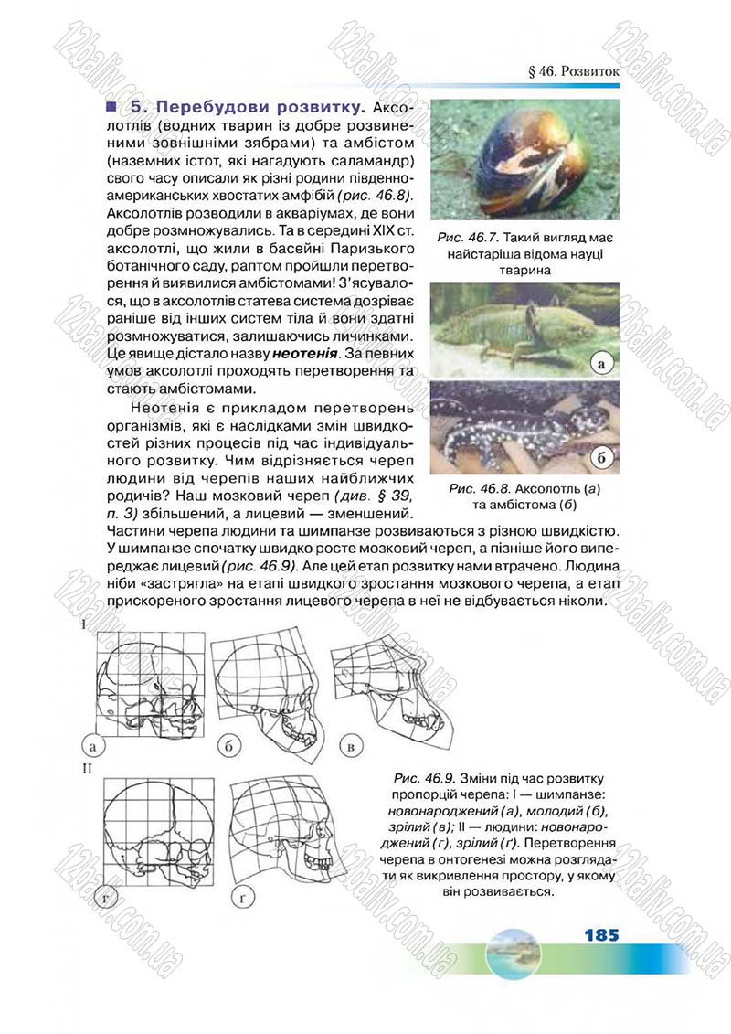 Сторінка 185 - Підручник Біологія 7 клас Д. А. Шабанов,  М. О. Кравченко 2015