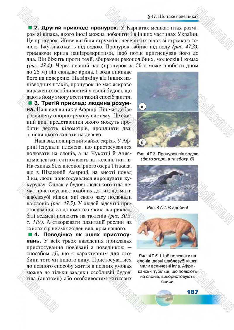 Сторінка 187 - Підручник Біологія 7 клас Д. А. Шабанов,  М. О. Кравченко 2015