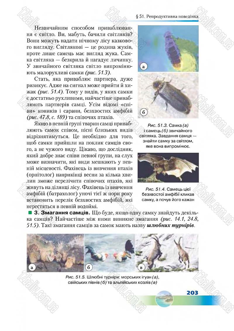 Сторінка 203 - Підручник Біологія 7 клас Д. А. Шабанов,  М. О. Кравченко 2015