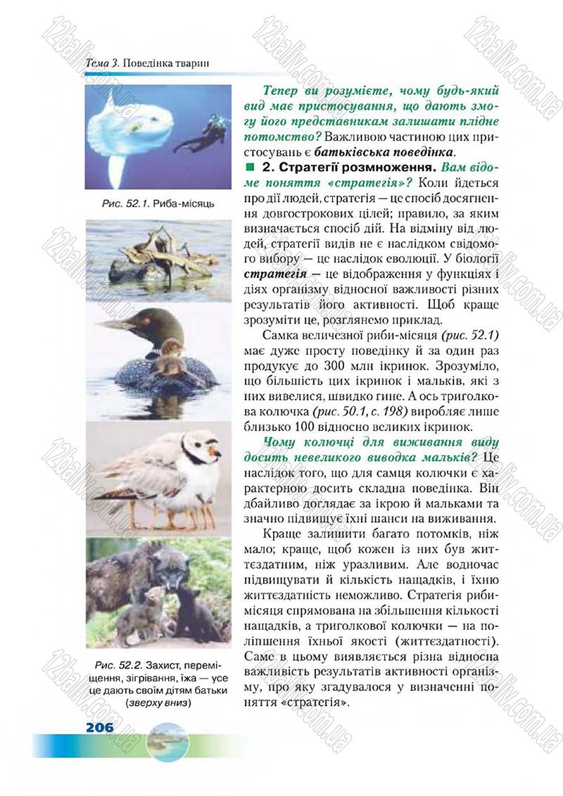 Сторінка 206 - Підручник Біологія 7 клас Д. А. Шабанов,  М. О. Кравченко 2015