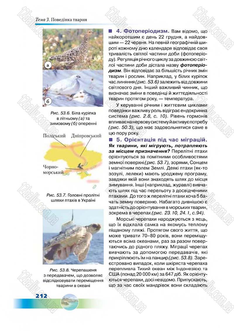 Сторінка 212 - Підручник Біологія 7 клас Д. А. Шабанов,  М. О. Кравченко 2015