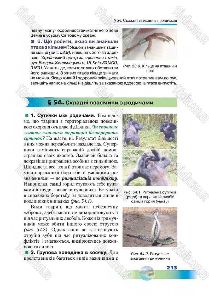 Сторінка 213 - Підручник Біологія 7 клас Д. А. Шабанов,  М. О. Кравченко 2015