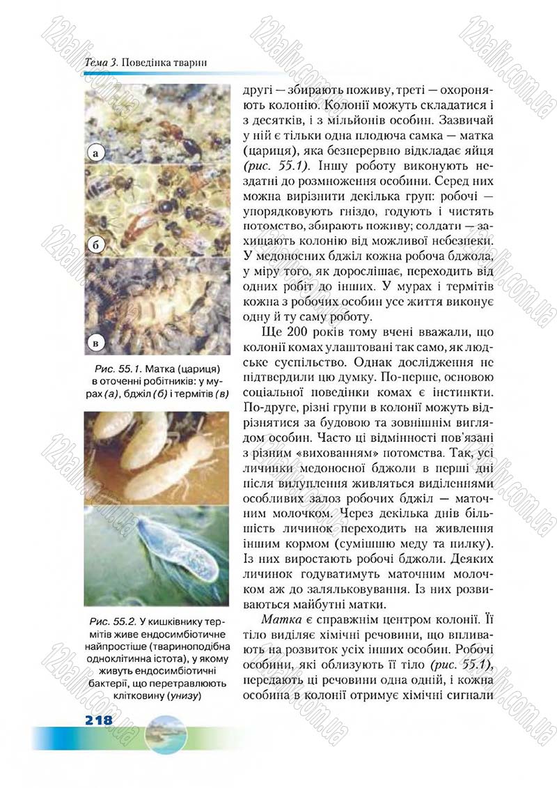 Сторінка 218 - Підручник Біологія 7 клас Д. А. Шабанов,  М. О. Кравченко 2015