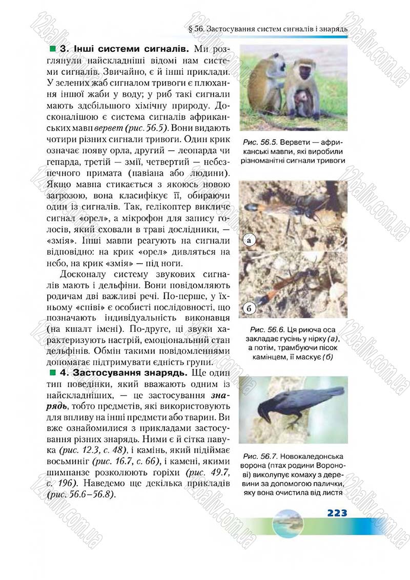Сторінка 223 - Підручник Біологія 7 клас Д. А. Шабанов,  М. О. Кравченко 2015