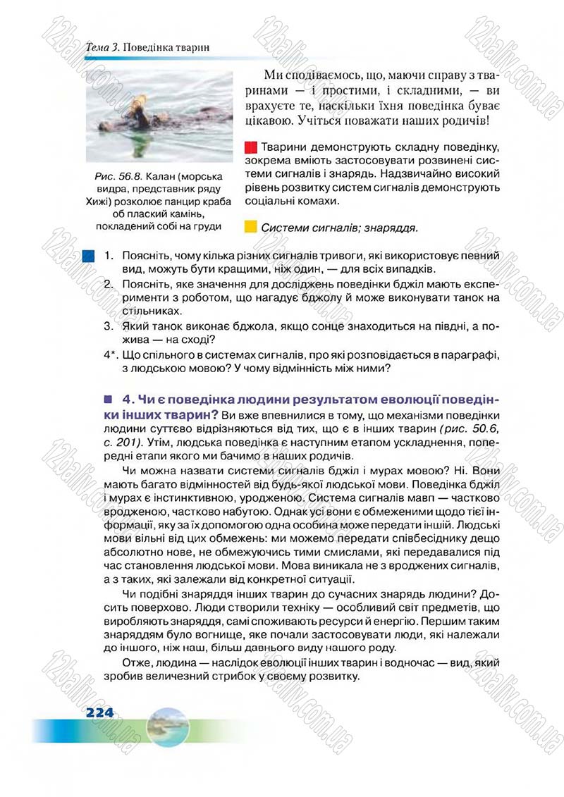 Сторінка 224 - Підручник Біологія 7 клас Д. А. Шабанов,  М. О. Кравченко 2015