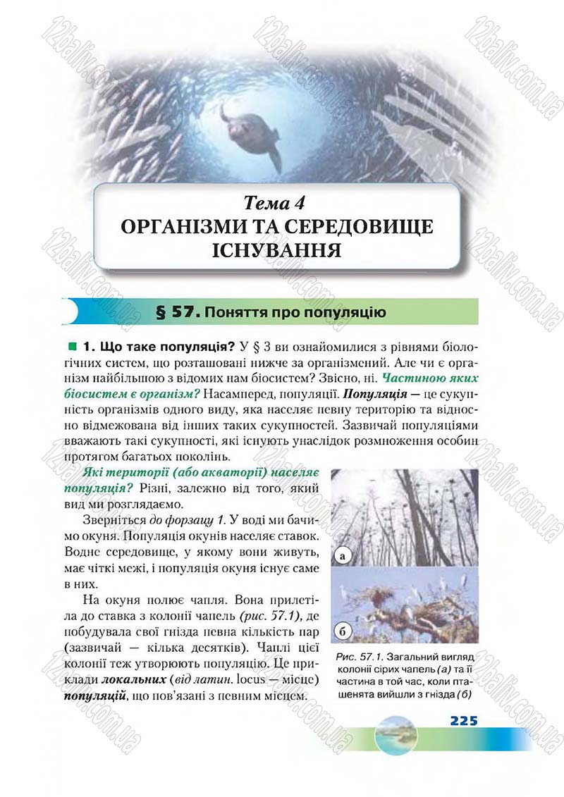 Сторінка 225 - Підручник Біологія 7 клас Д. А. Шабанов,  М. О. Кравченко 2015