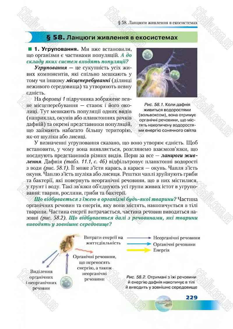 Сторінка 229 - Підручник Біологія 7 клас Д. А. Шабанов,  М. О. Кравченко 2015
