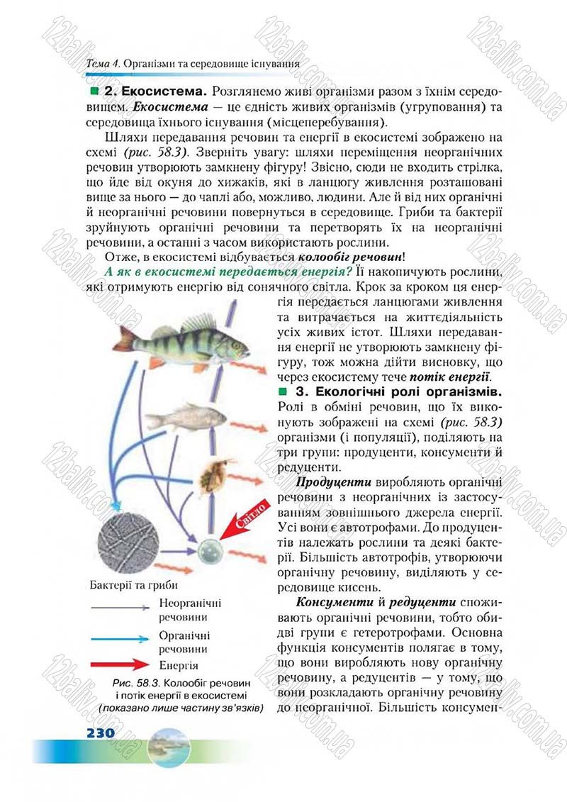 Сторінка 230 - Підручник Біологія 7 клас Д. А. Шабанов,  М. О. Кравченко 2015