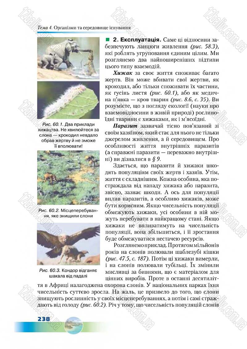 Сторінка 238 - Підручник Біологія 7 клас Д. А. Шабанов,  М. О. Кравченко 2015
