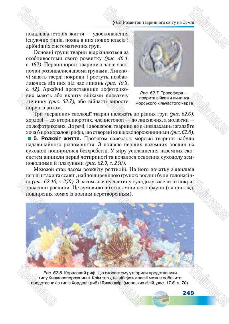 Сторінка 249 - Підручник Біологія 7 клас Д. А. Шабанов,  М. О. Кравченко 2015