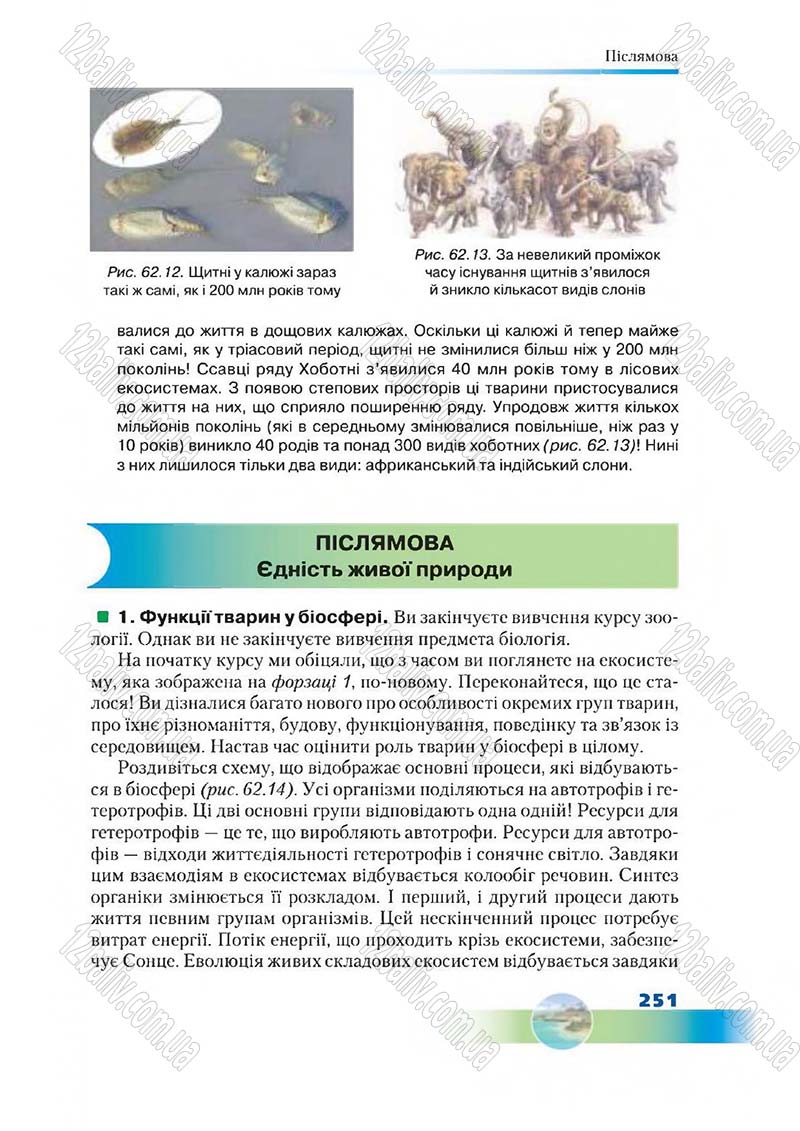 Сторінка 251 - Підручник Біологія 7 клас Д. А. Шабанов,  М. О. Кравченко 2015