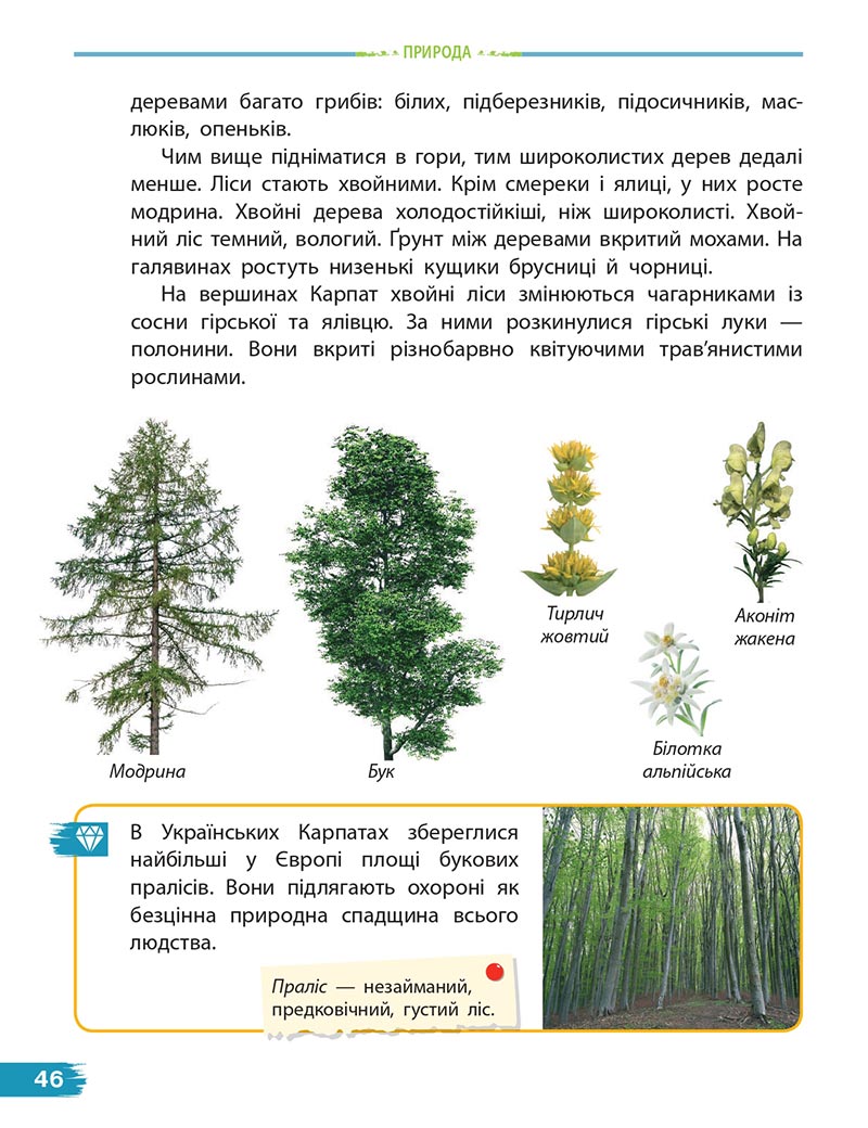 Сторінка 46 - Підручник Я досліджую світ 4 клас Н. М. Бібік, Г. П. Бондарчук 2021- Частина 2 - скачати, дивитись онлайн