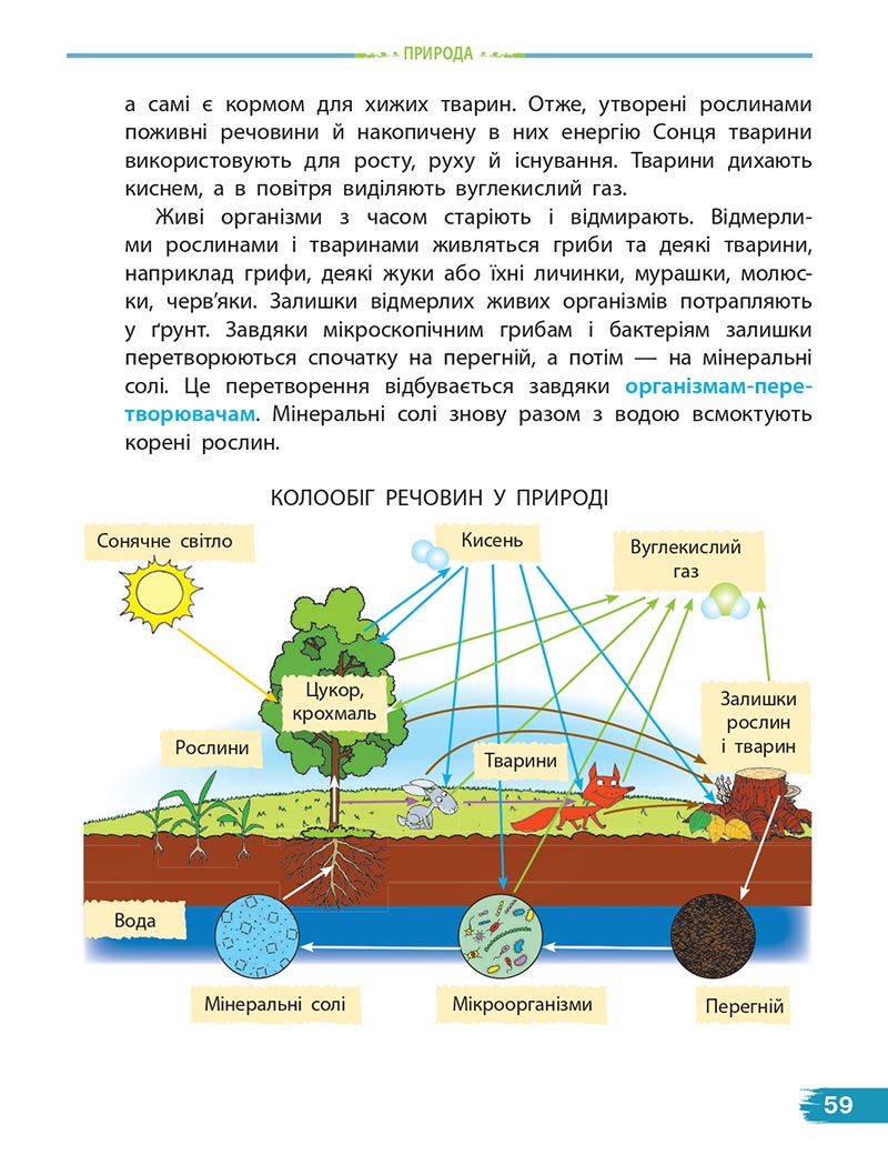 Сторінка 59 - Підручник Я досліджую світ 4 клас Н. М. Бібік, Г. П. Бондарчук 2021- Частина 2 - скачати, дивитись онлайн