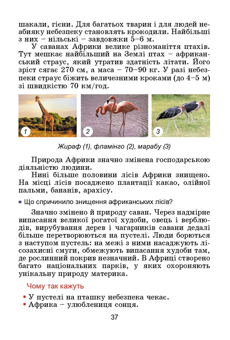Сторінка 37 - Підручник Я досліджую світ 4 клас Гільберг 2021 - Частина 2 - скачати