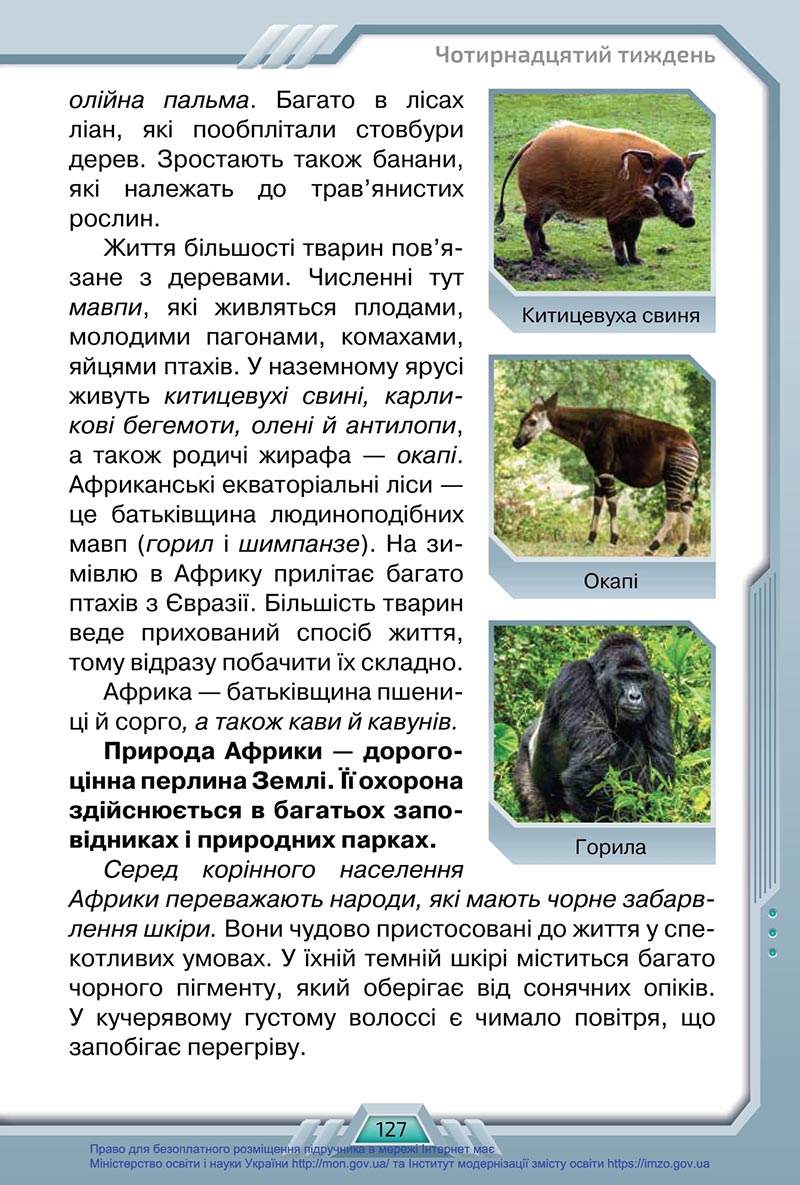 Сторінка 127 - Підручник Я досліджую світ 4 клас Грущинська 2021 - Частина 1 - скачати, дивитись онлайн