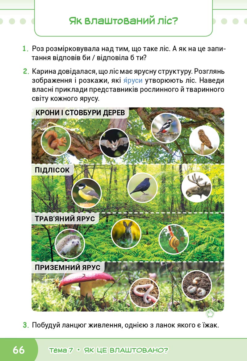 Сторінка 66 - Підручник Я досліджую світ 4 клас Волощенко 2021 - Частина 2 - скачати, дивитись онлайн