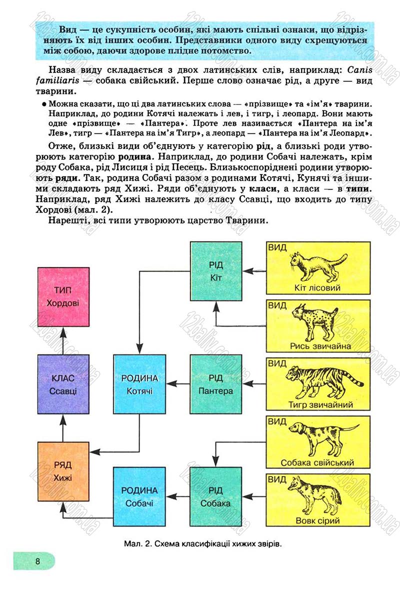 Сторінка 8 - Підручник Біологія 8 клас С.В. Межжерін, Я.О. Межжеріна 2008