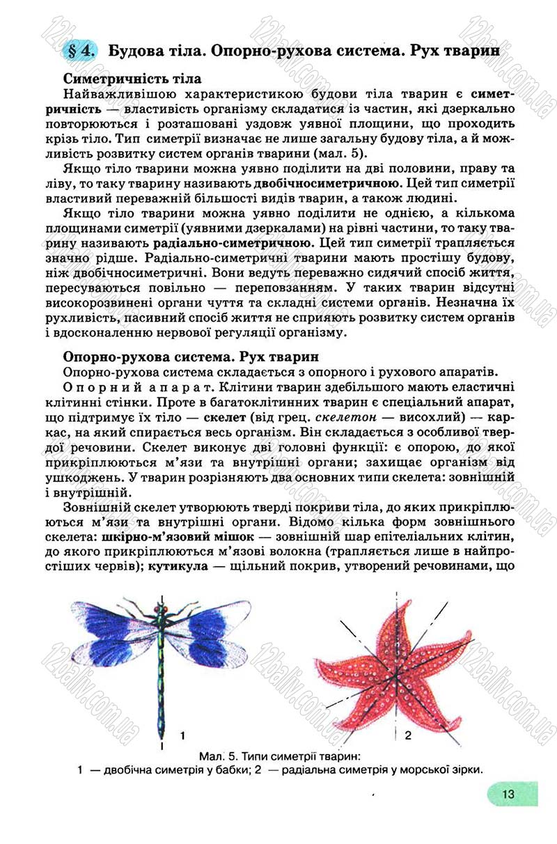Сторінка 13 - Підручник Біологія 8 клас С.В. Межжерін, Я.О. Межжеріна 2008