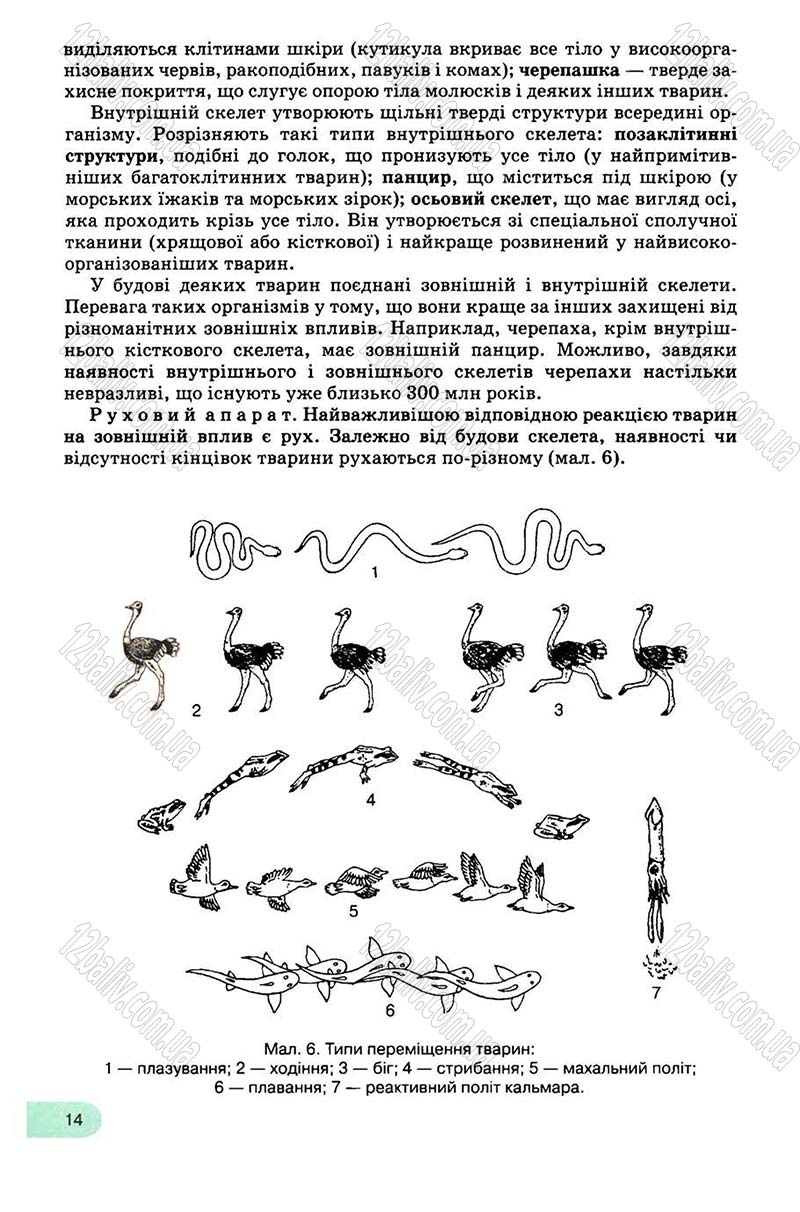 Сторінка 14 - Підручник Біологія 8 клас С.В. Межжерін, Я.О. Межжеріна 2008