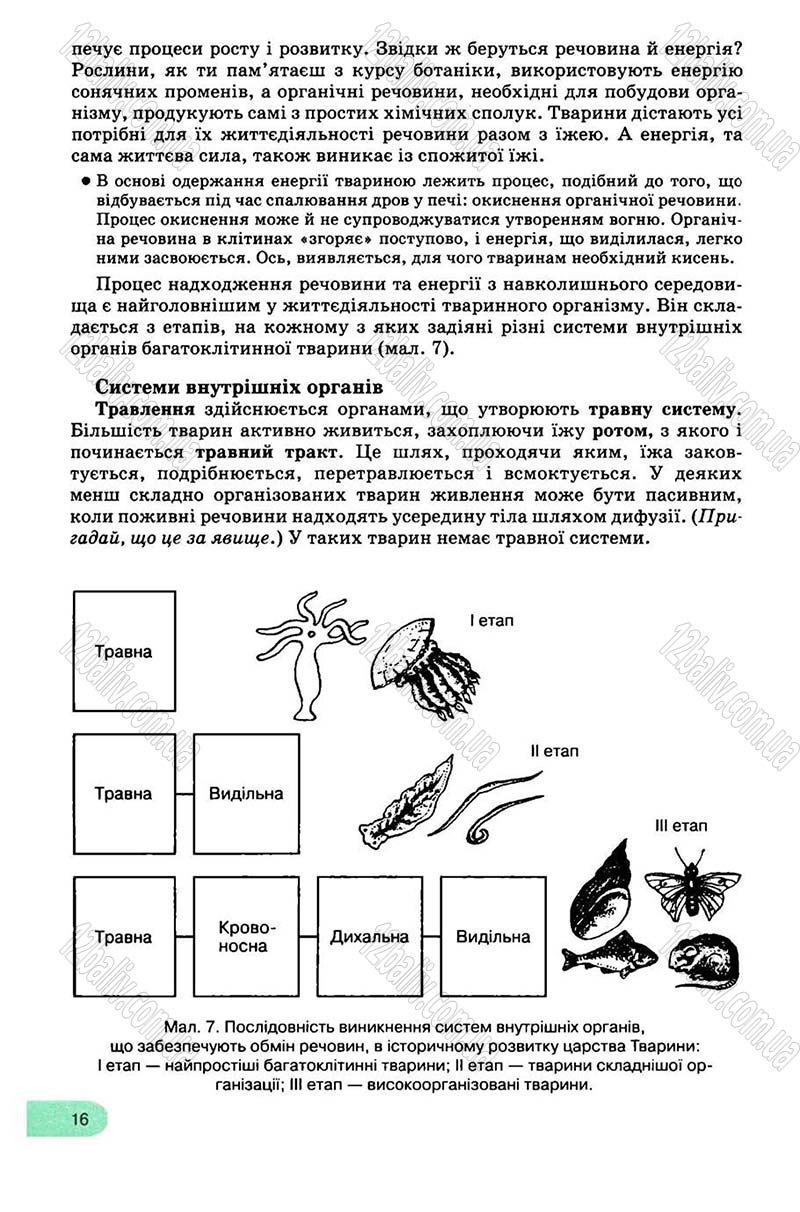 Сторінка 16 - Підручник Біологія 8 клас С.В. Межжерін, Я.О. Межжеріна 2008