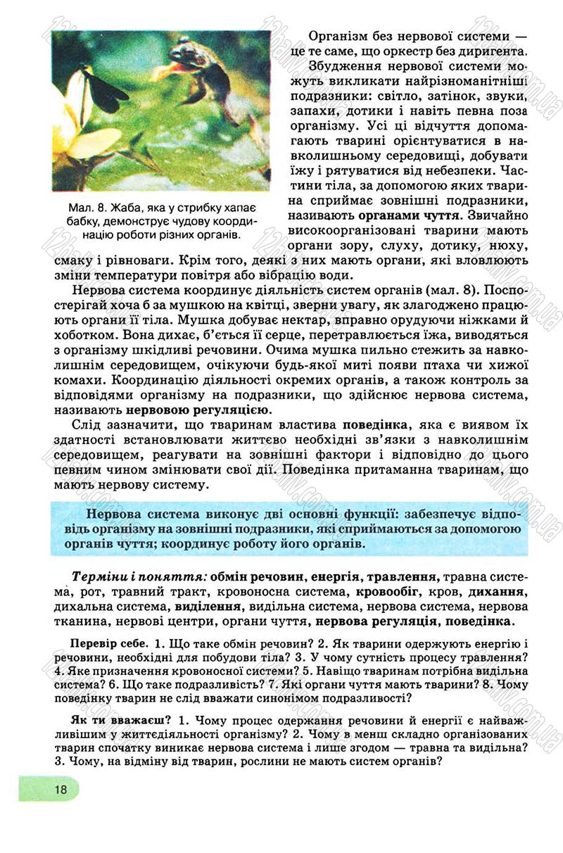 Сторінка 18 - Підручник Біологія 8 клас С.В. Межжерін, Я.О. Межжеріна 2008