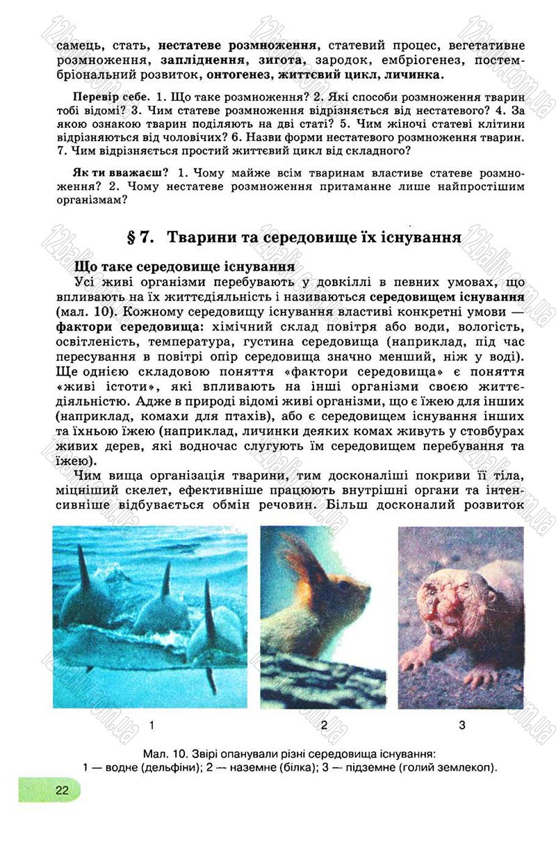 Сторінка 22 - Підручник Біологія 8 клас С.В. Межжерін, Я.О. Межжеріна 2008