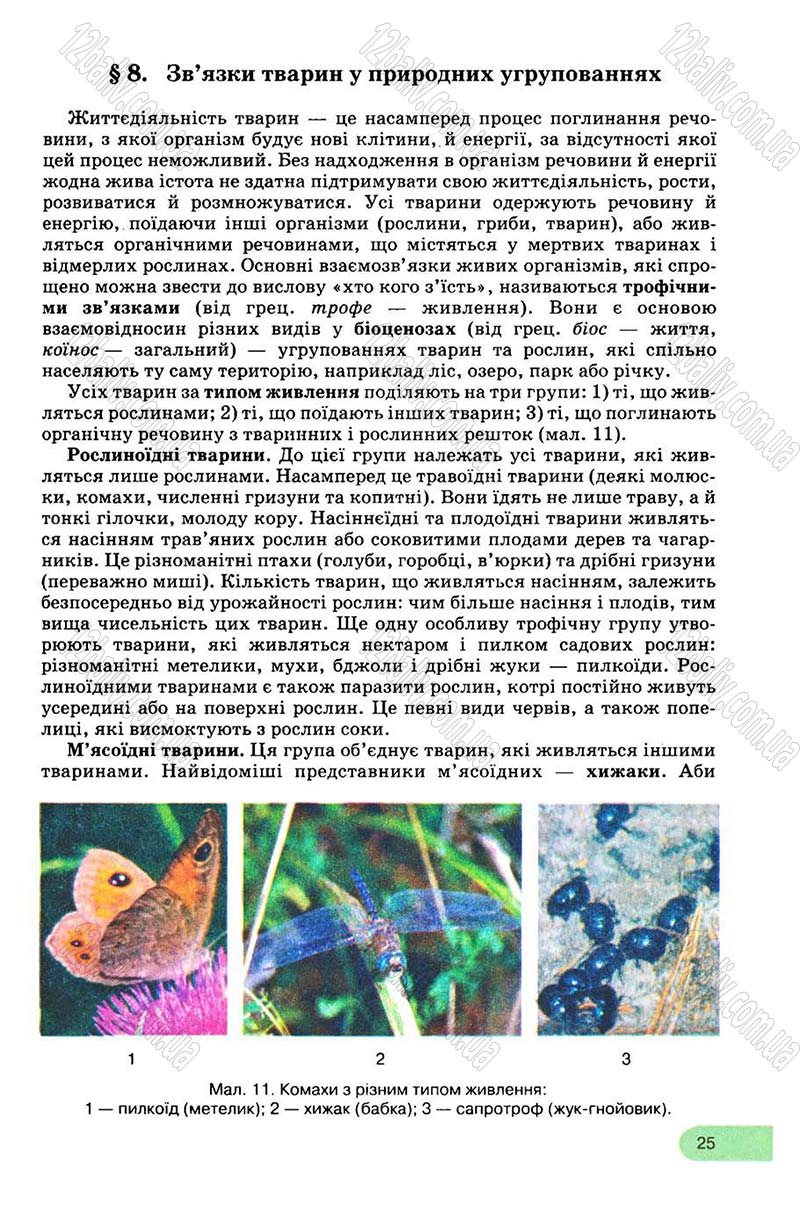 Сторінка 25 - Підручник Біологія 8 клас С.В. Межжерін, Я.О. Межжеріна 2008