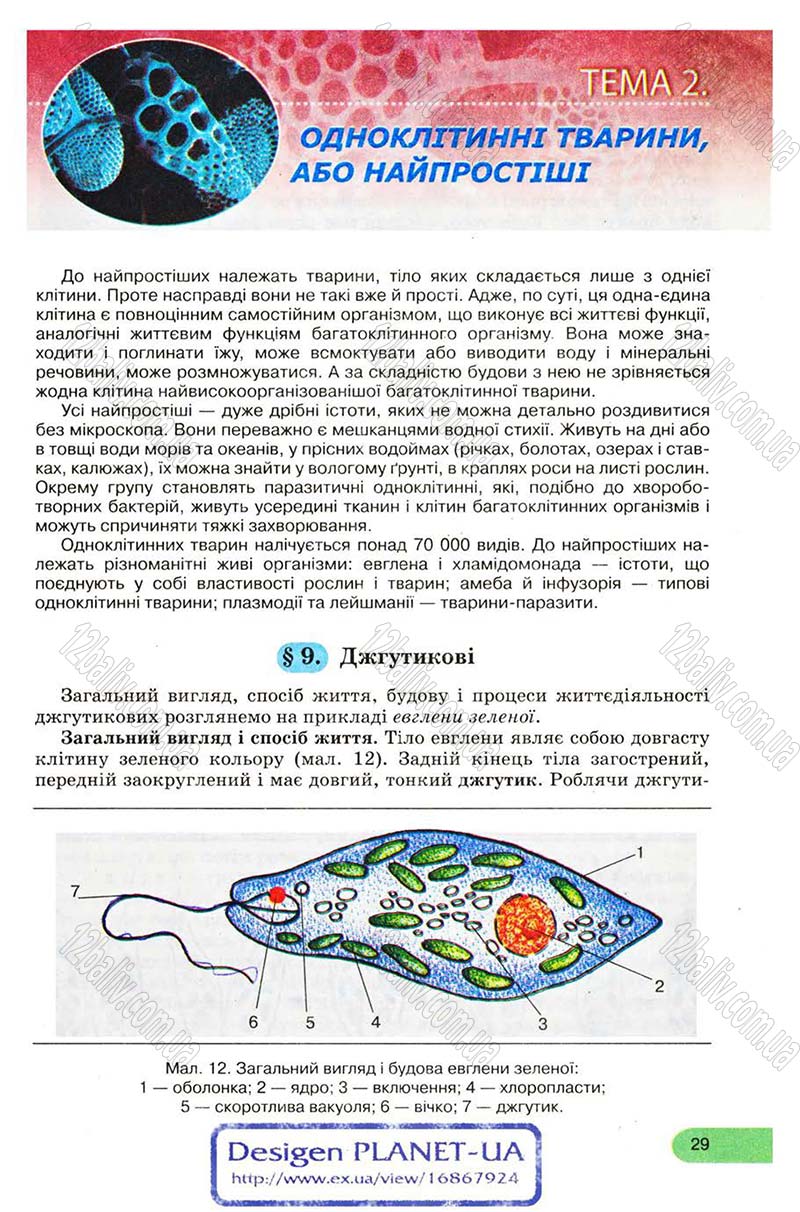 Сторінка 29 - Підручник Біологія 8 клас С.В. Межжерін, Я.О. Межжеріна 2008