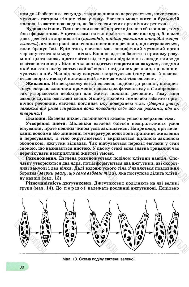 Сторінка 30 - Підручник Біологія 8 клас С.В. Межжерін, Я.О. Межжеріна 2008