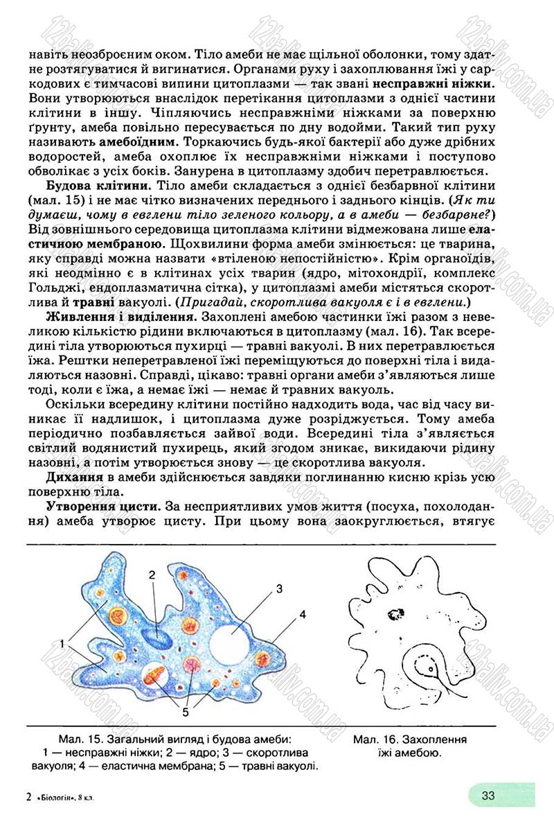 Сторінка 33 - Підручник Біологія 8 клас С.В. Межжерін, Я.О. Межжеріна 2008