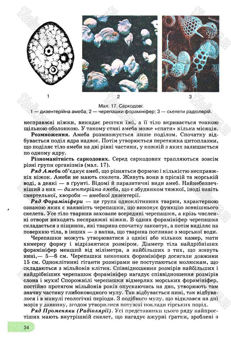 Сторінка 34 - Підручник Біологія 8 клас С.В. Межжерін, Я.О. Межжеріна 2008
