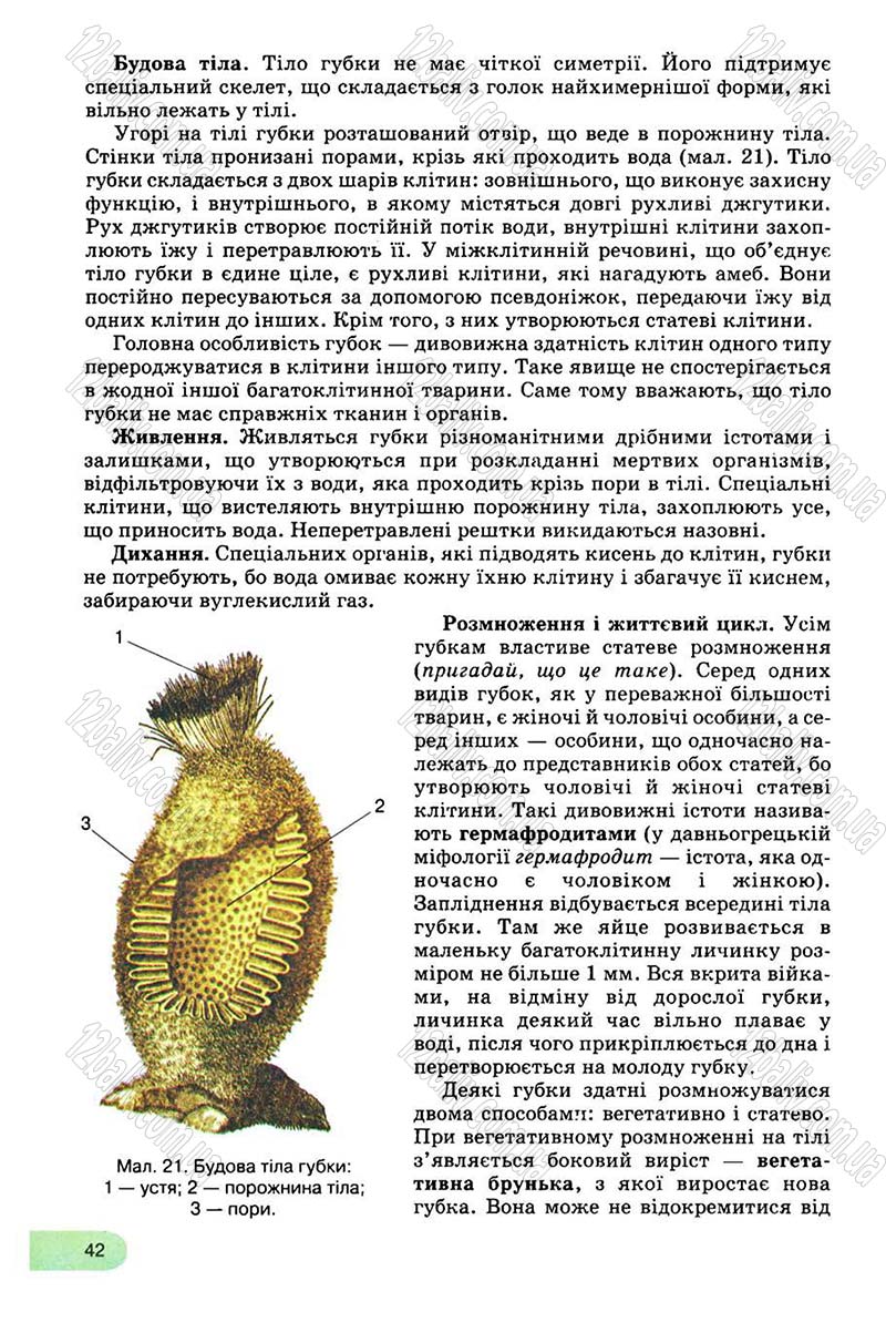 Сторінка 42 - Підручник Біологія 8 клас С.В. Межжерін, Я.О. Межжеріна 2008